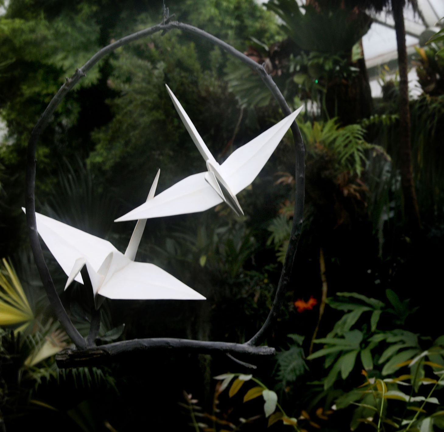 Scenes from Origami in the Garden